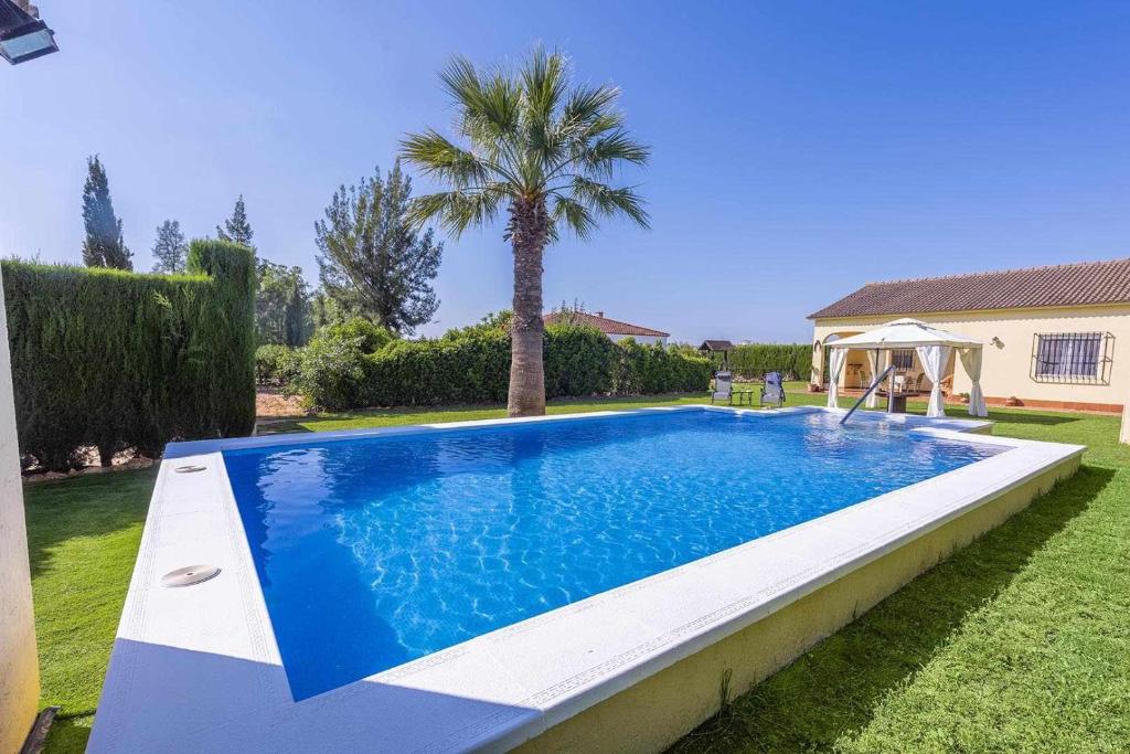 a swimming pool in a yard with a palm tree at Casa Rural de Noa in La Puebla de Cazalla