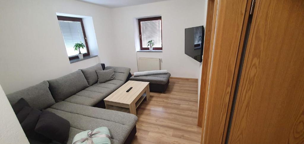 TV a/nebo společenská místnost v ubytování Apartment Podkuze