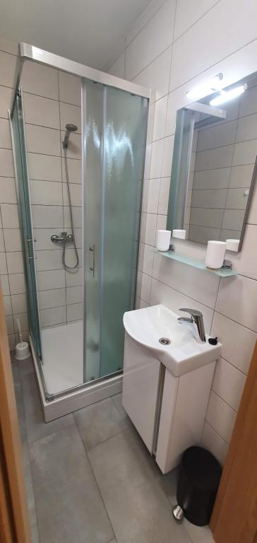Koupelna v ubytování Apartment Podkuze