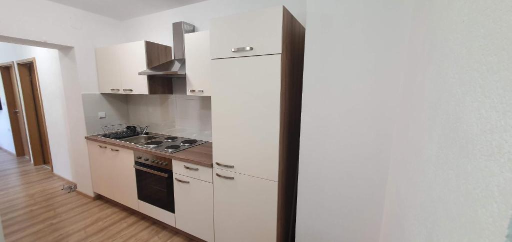 Kuchyň nebo kuchyňský kout v ubytování Apartment Podkuze