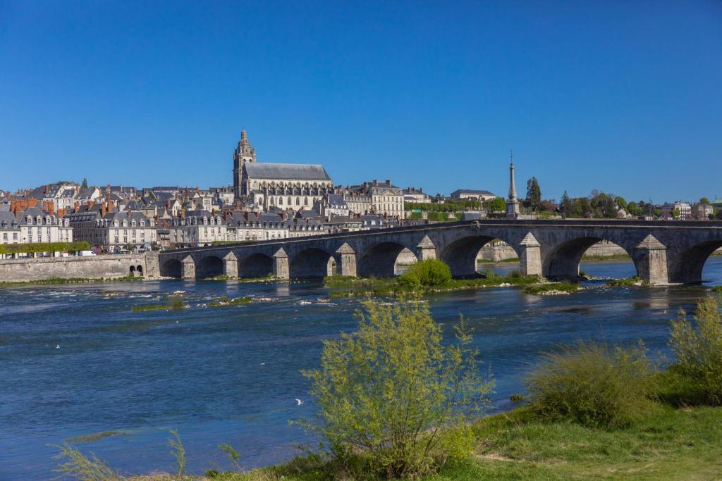 a bridge over a river with a city in the background at Fleur de Loire in Blois