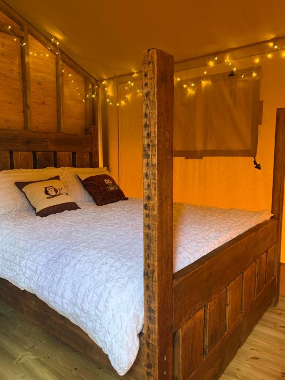 two bunk beds in a room with lights at Little North Field in Harrogate