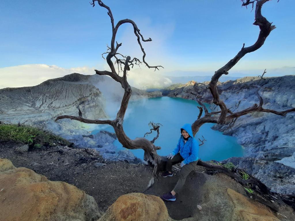 a man sitting on a rock next to a tree at Avrila Ijen Guest House in Licin