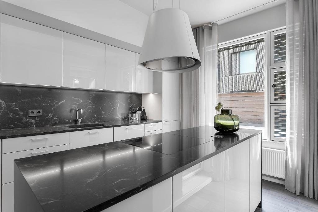 Kuchyň nebo kuchyňský kout v ubytování Modern Apt in Central Reykjavík