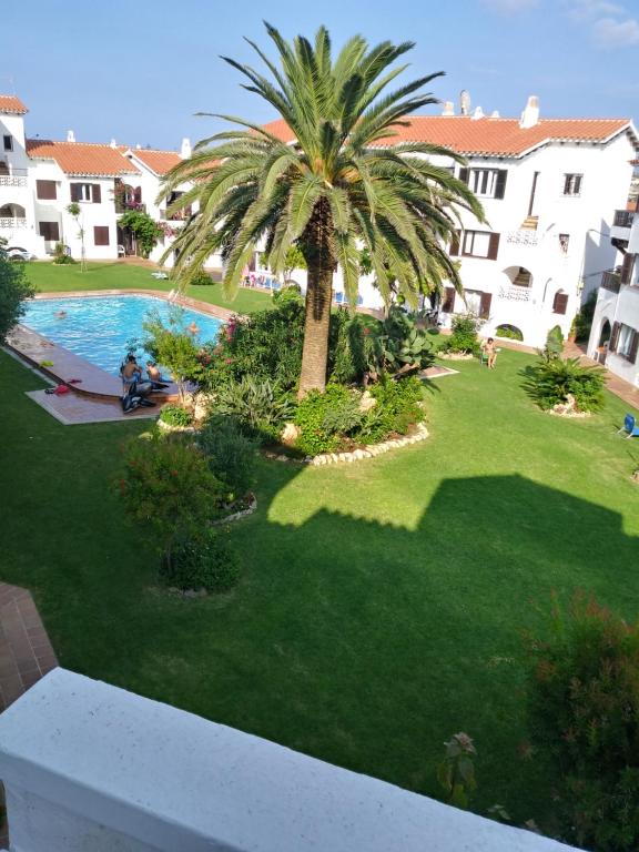 una vista aérea de un patio con una palmera en Sol del Este en Es Castell