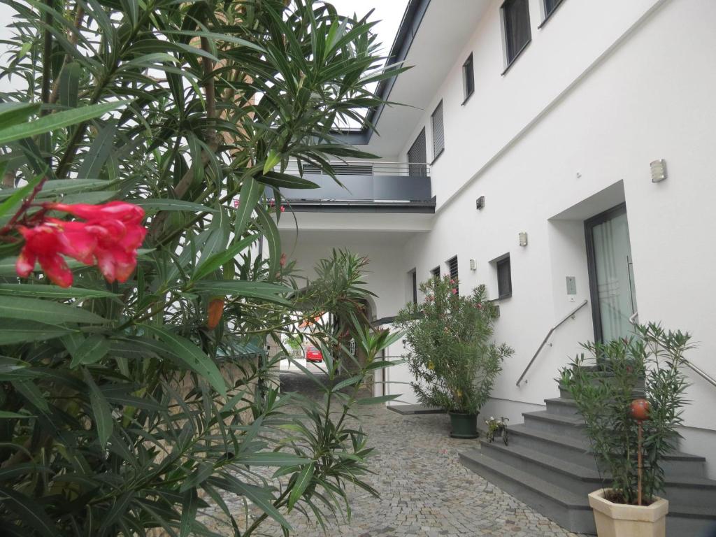 Zahrada ubytování Gartenpension Fischl