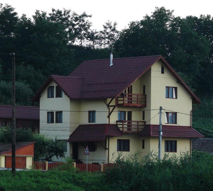 Casa blanca grande con techo marrón en Casa dintre Vii, en Jidvei