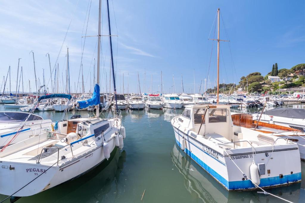 un groupe de bateaux est amarré dans un port dans l'établissement Magnifique studio avec TERRASSE- PROCHE DE LA MER!, à Carqueiranne
