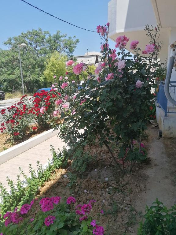 Elva Creta 야외 정원