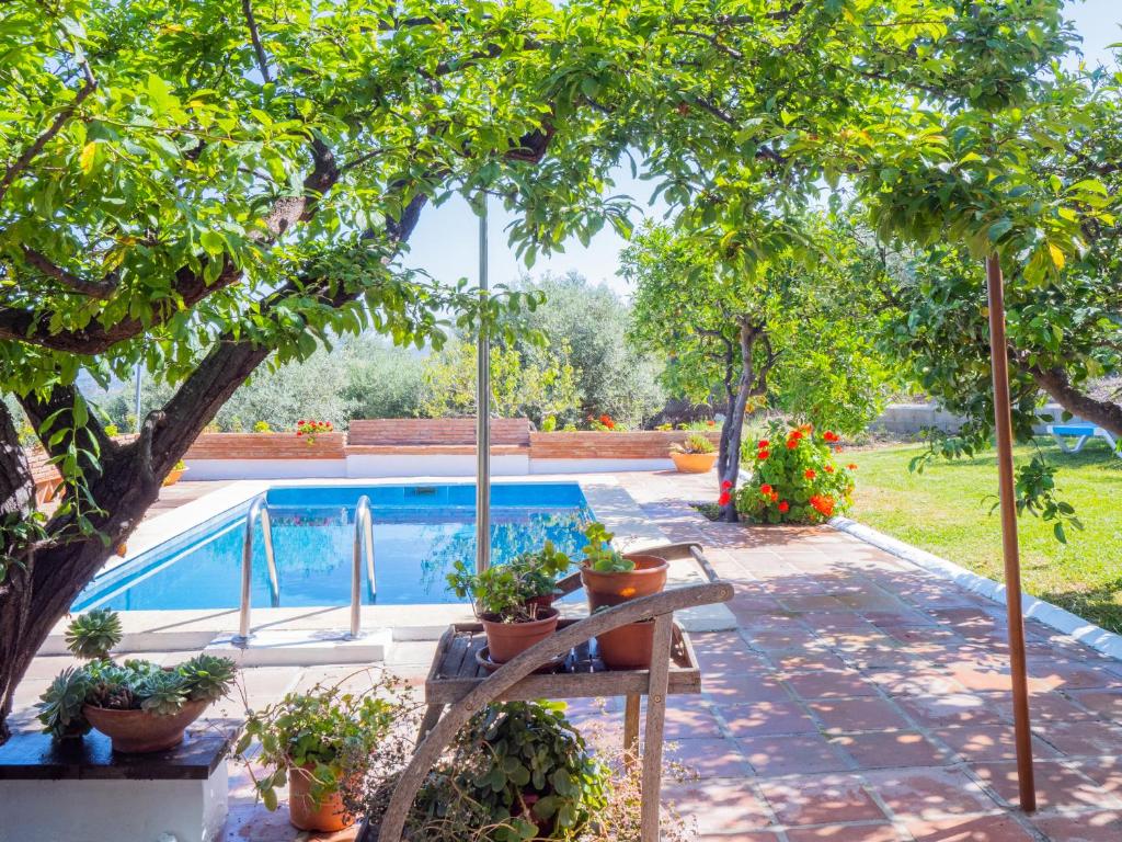 une terrasse avec une piscine, des arbres et des plantes en pot dans l'établissement Cubo's Casa Rural La Guillena, à Alhaurín el Grande