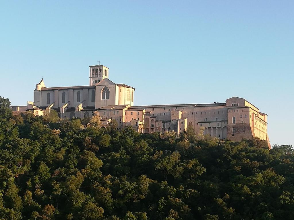 La Casa Tra Gli Ulivi - 18