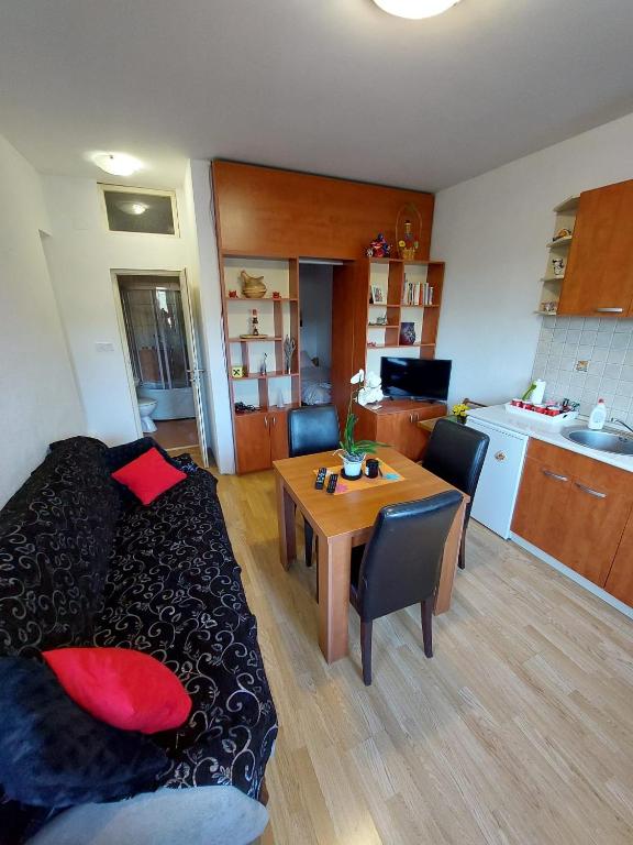 Kuchyň nebo kuchyňský kout v ubytování Apartman Gordana