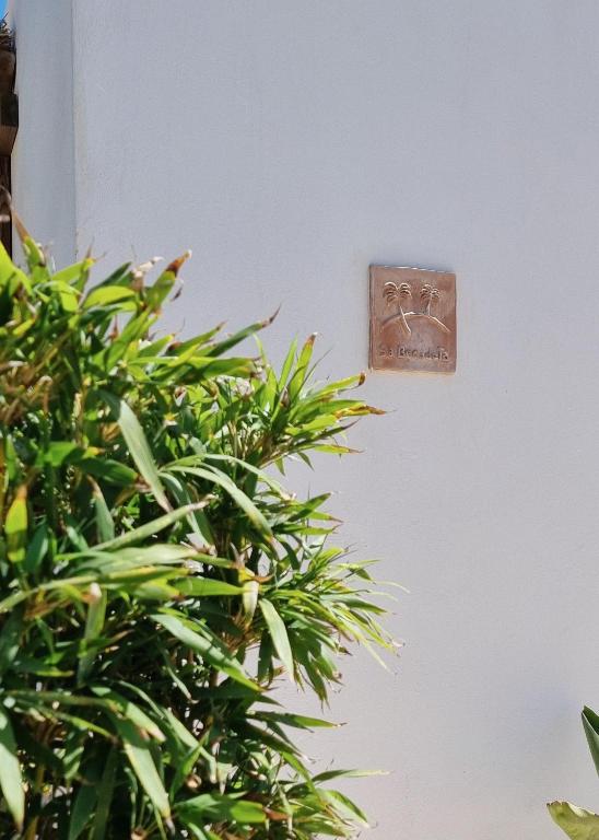 Fotografie z fotogalerie ubytování Eco Finca Sa Becadeta v destinaci Llucmajor
