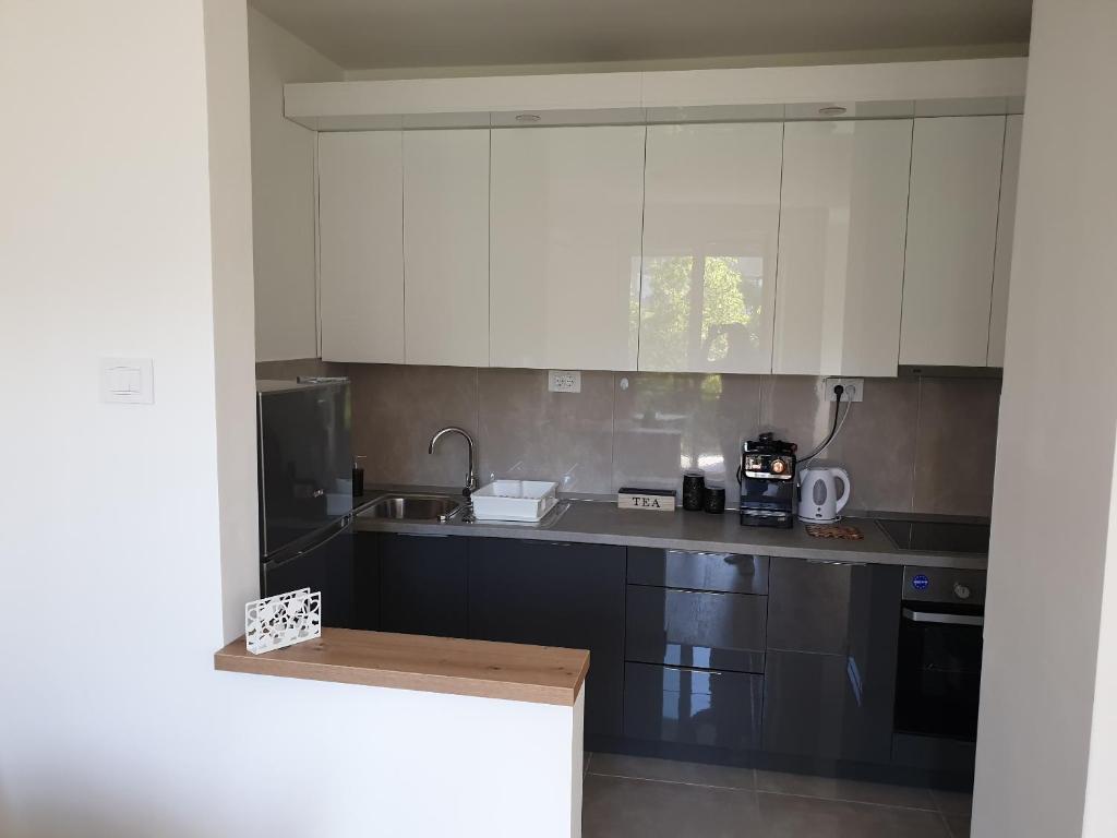 Kuchyň nebo kuchyňský kout v ubytování Apartman N&N