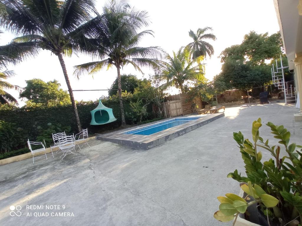 una piscina en un patio con palmeras en Paraiso Hortensia Ecolodge en Santiago de los Caballeros