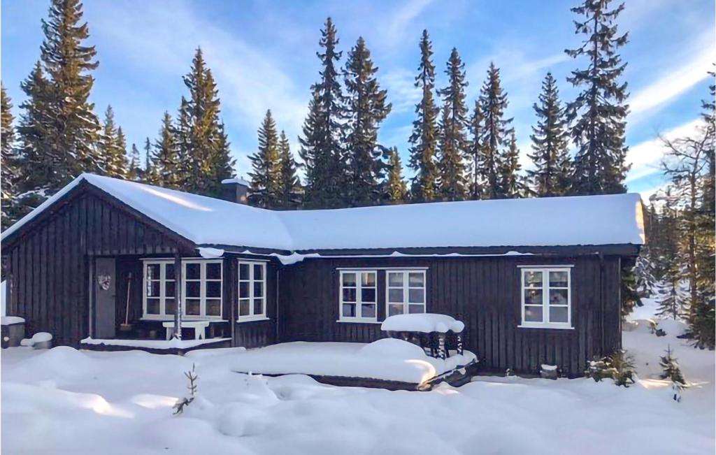 SjusjøenにあるStunning Home In Sjusjen With Wifiの雪上の小屋