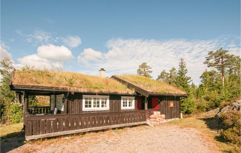 uma cabana de madeira com telhado de relva em Pet Friendly Home In Rena With Wifi em Rena