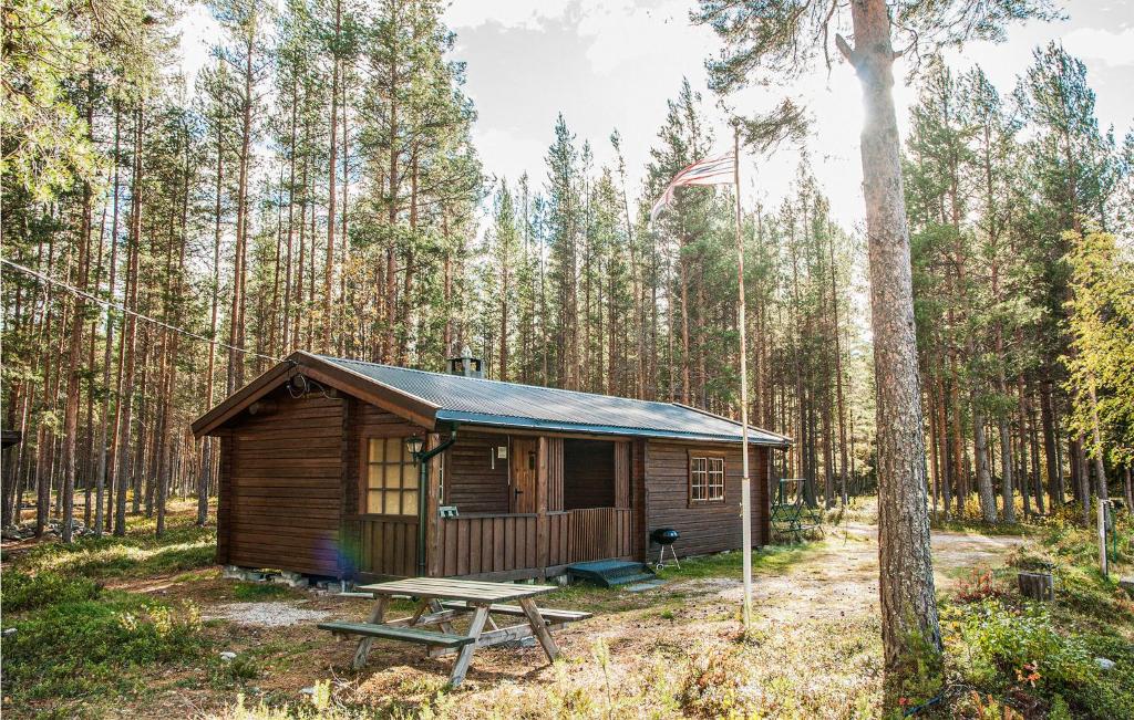 eine Hütte im Wald mit einem Picknicktisch und einer amerikanischen Flagge in der Unterkunft Gorgeous Home In Atna With Wifi in Atnoset