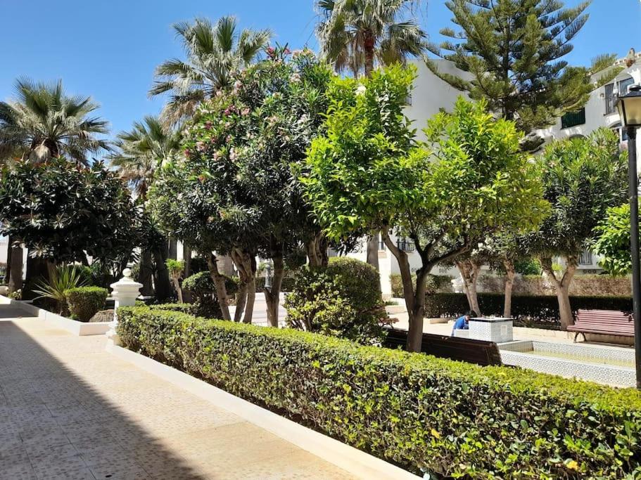 un parque con árboles, un banco y palmeras en Bonito apartamento a 50 metros de la playa., en San Luis de Sabinillas