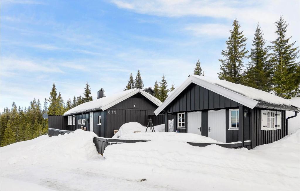 Sjusjøen的住宿－4 Bedroom Gorgeous Home In Sjusjen，雪中黑白的建筑
