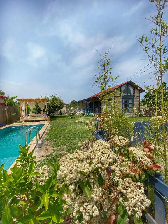 Palaemon datça YELKEN