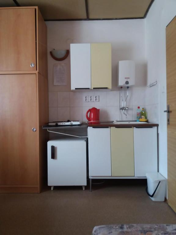 Kuchyň nebo kuchyňský kout v ubytování Zotavovna Kvilda