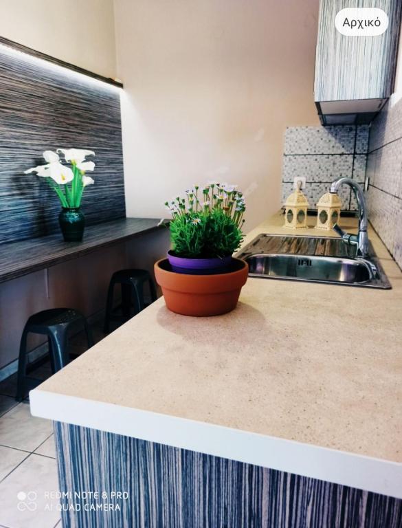 Η κουζίνα ή μικρή κουζίνα στο No Name Apartments