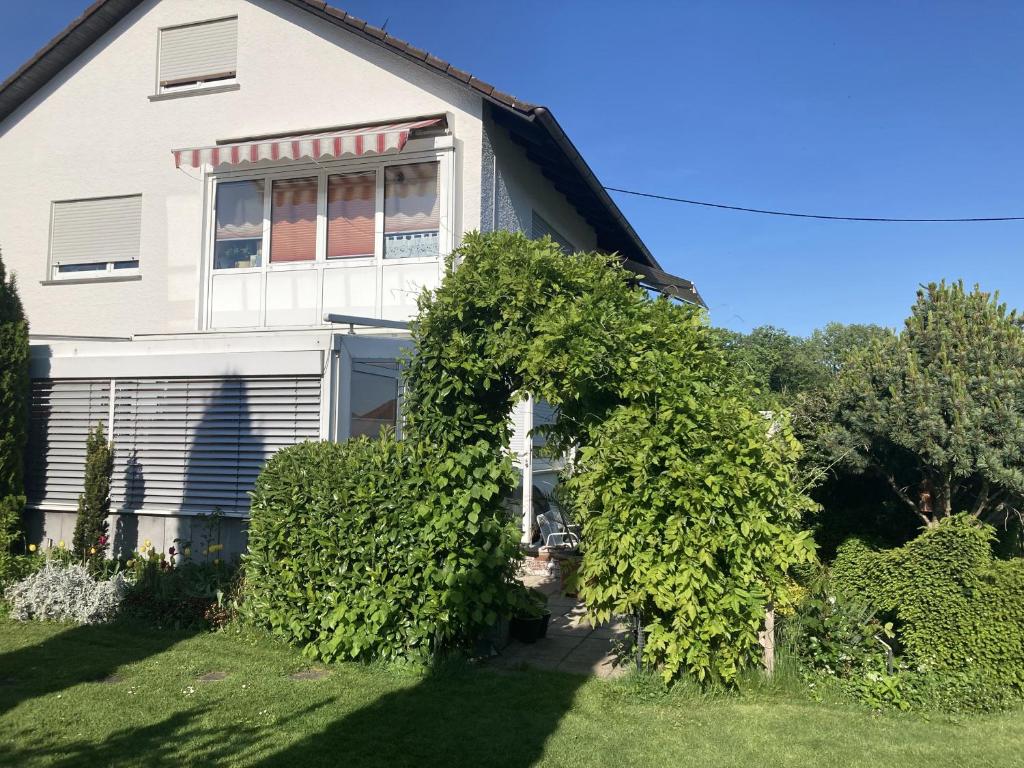 uma casa branca com um grande arbusto à sua frente em Schöne 80qm Ferienwohnung in ruhiger Lage em Friedrichshafen