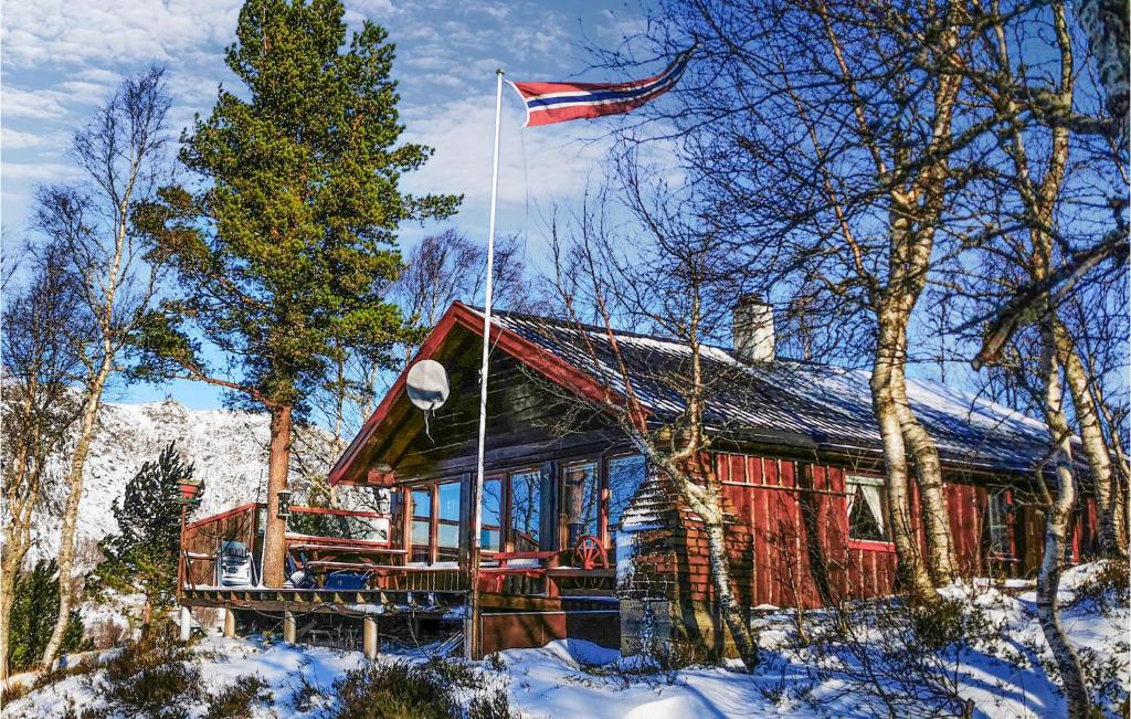 a house with an american flag in the snow at Lovely Home In Kvinlog With House A Mountain View in Kvinlog