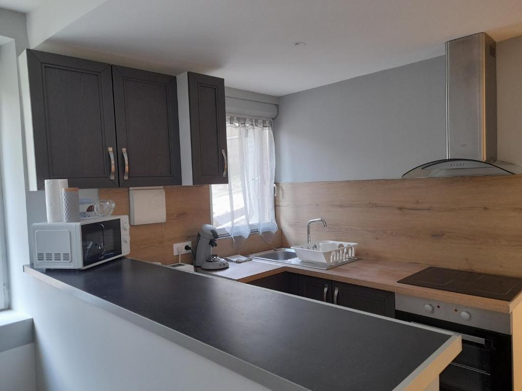 a kitchen with black cabinets and a counter top at Le travers (centre ville Joigny) in Joigny