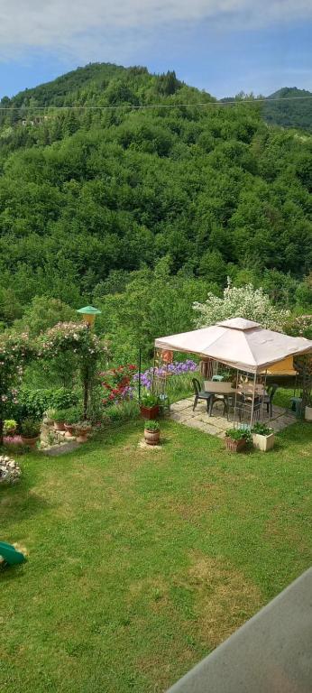 Przyroda w pobliżu tego obiektu B&B