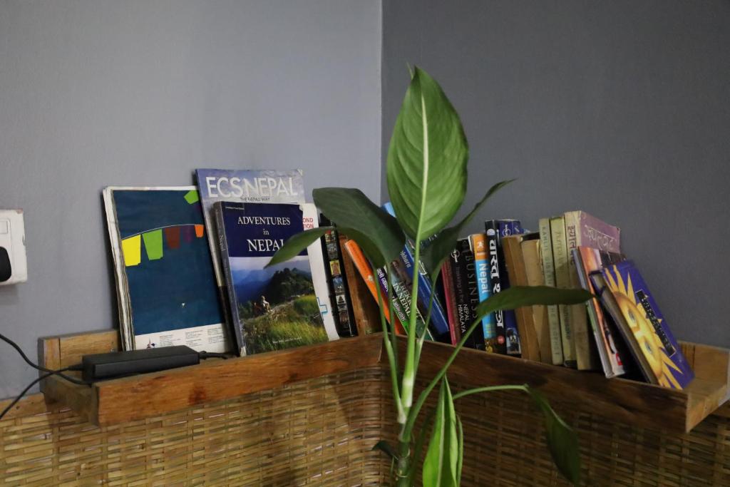 Biblioteca nell'ostello