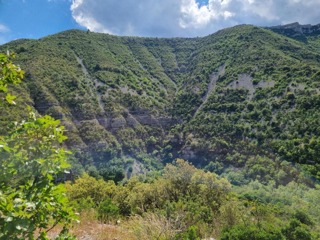 Paesaggio naturale nelle vicinanze dell'ostello