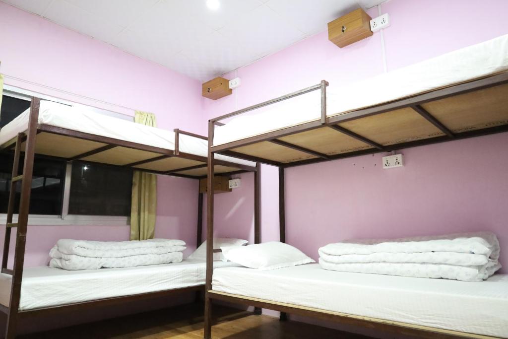 2 letti a castello in una camera con pareti rosa di Margik Backpackers Hostel a Pokhara