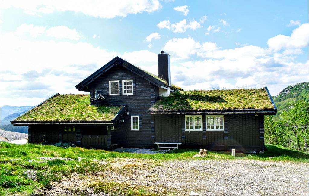 a house with grass on the roof with a dog in front at Awesome Home In Kvinlog With 3 Bedrooms And Wifi in Kvinlog