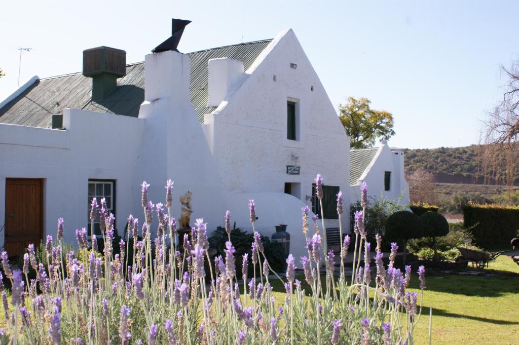 una casa blanca con flores púrpuras delante de ella en Oue Werf Country House en Oudtshoorn