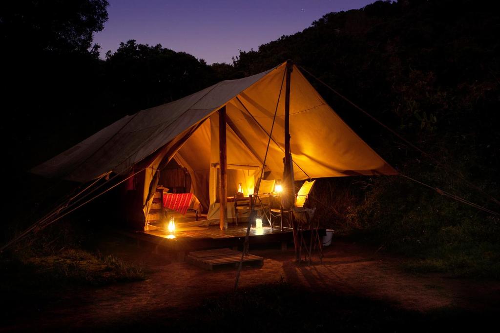 Příroda nedaleko luxury tent