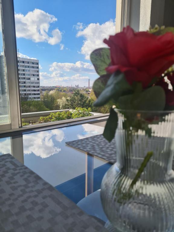 een vaas met een rode bloem op een tafel bij Apartment am Eiskanal in Augsburg