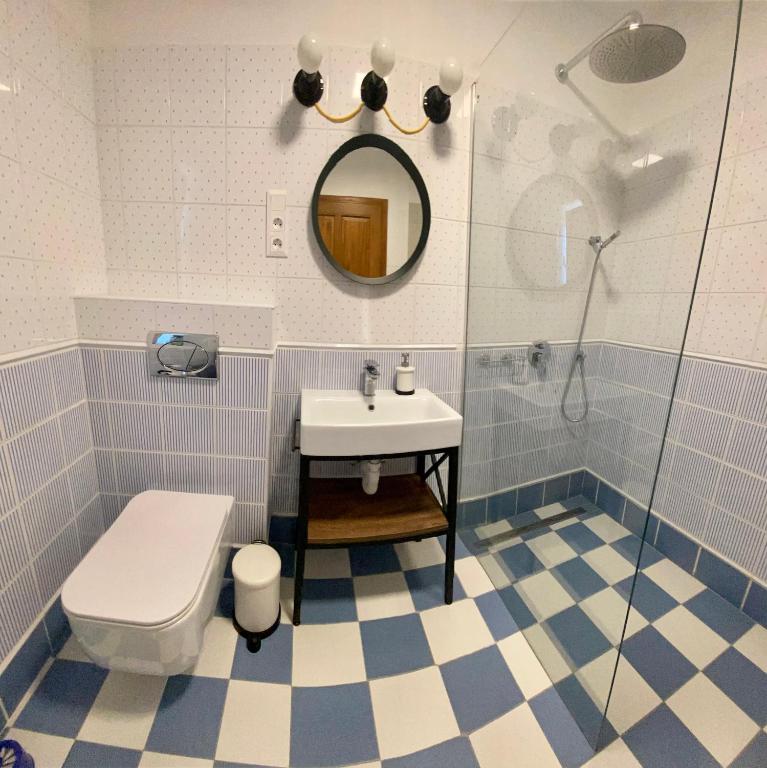 Koupelna v ubytování Segesdy Villa