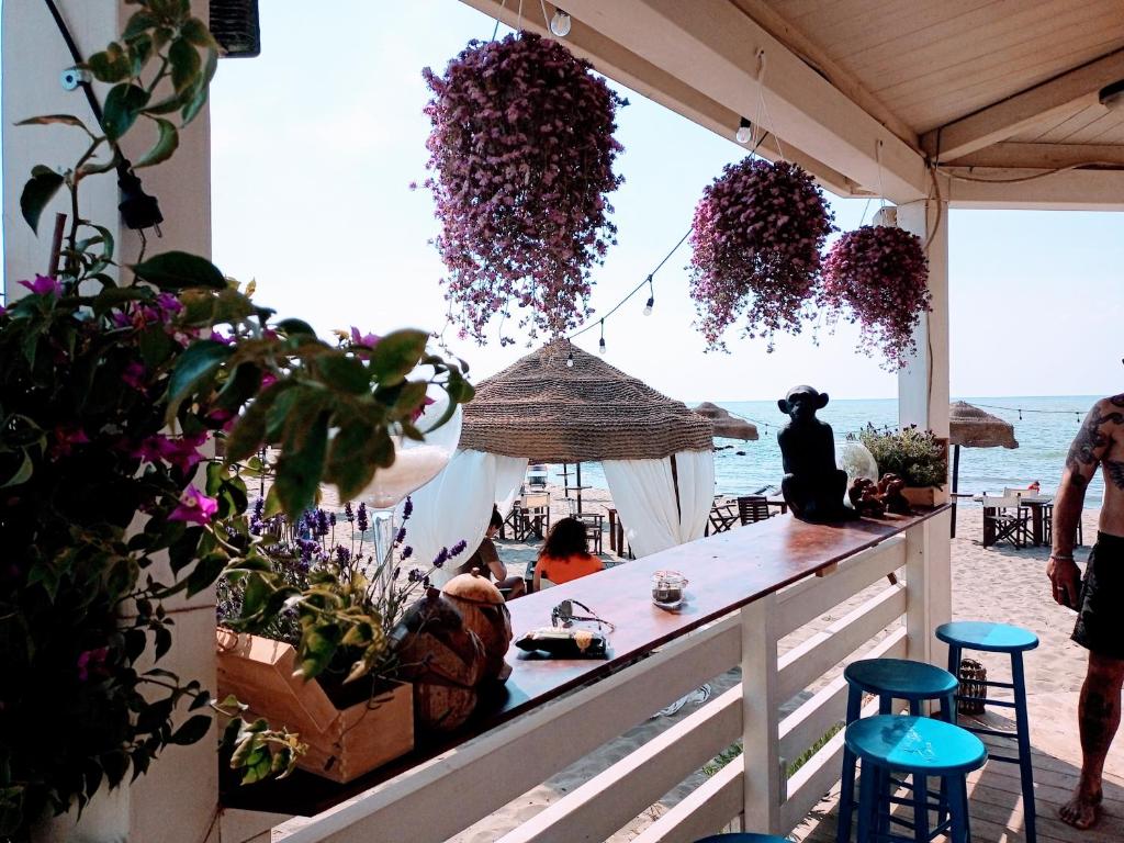 un bar sulla spiaggia con fiori e piante di B&B Purple Italy a Fiumicino