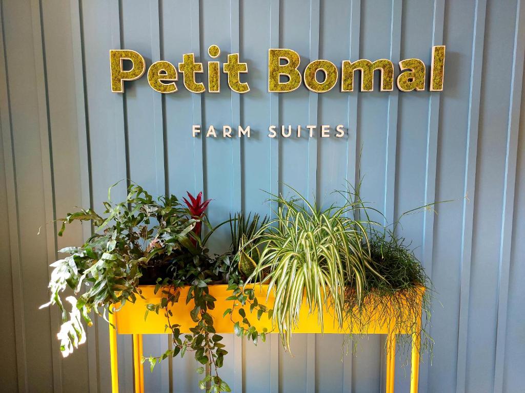 Fotografie z fotogalerie ubytování Les Suites de Petit Bomal v destinaci Durbuy