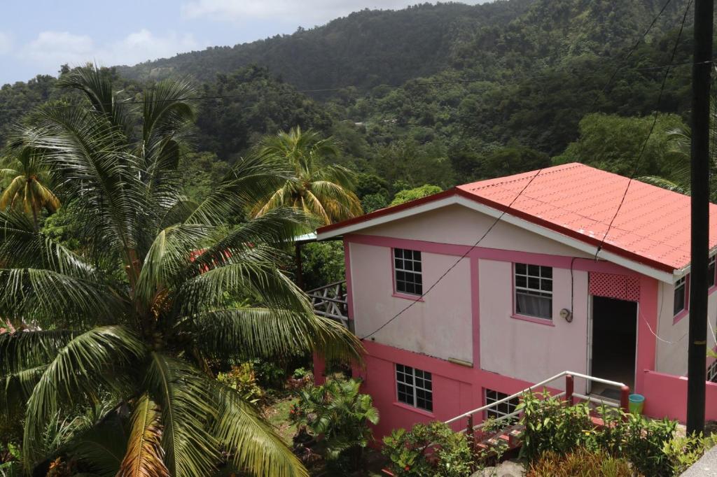 a pink house with a palm tree in front of a mountain at Anthurium Apartment in Roseau