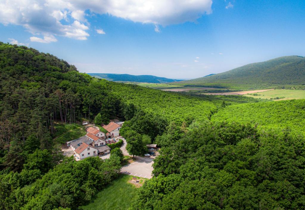 una vista aérea de una casa en medio de un bosque en Rókabérc Vadászház Hotel, en Erdőbénye