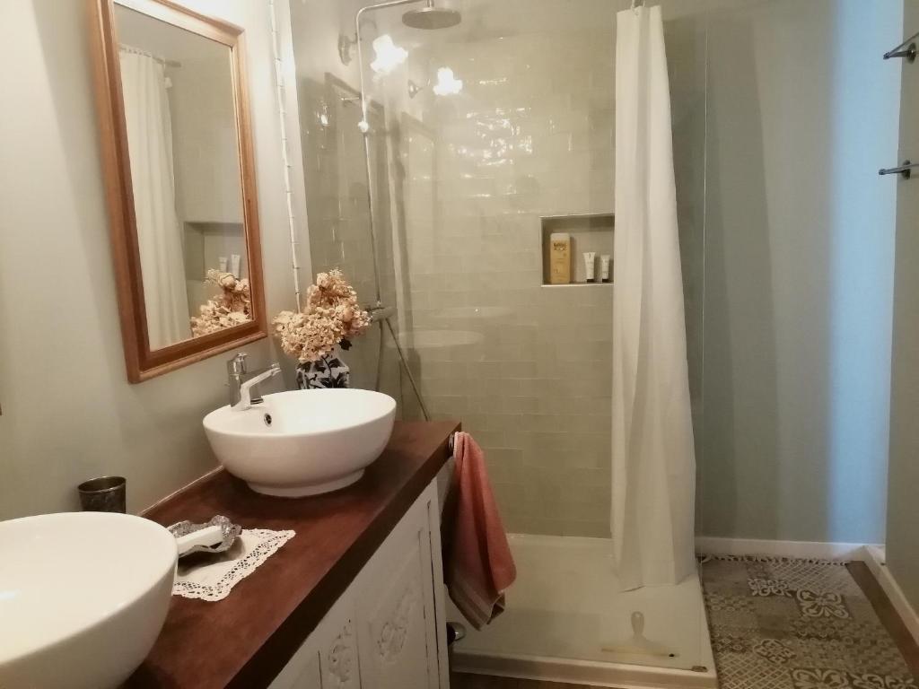 a bathroom with a sink and a shower at La Bonne Etoile, près Giverny in Vernon