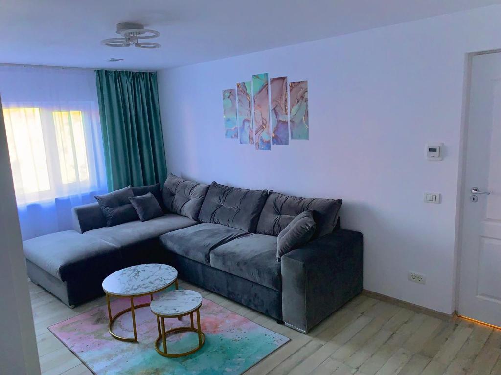 sala de estar con sofá y mesa en Apartament Infinity Petroșani, en Petroşani