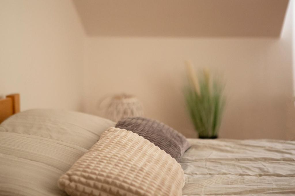 Posteľ alebo postele v izbe v ubytovaní Apartment Kika