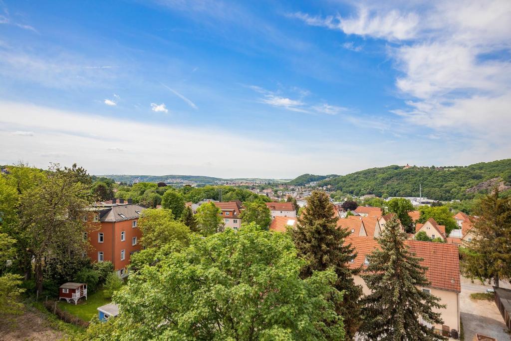 Příroda nedaleko hostelu
