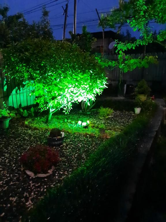 Zahrada ubytování Sisi Guest House