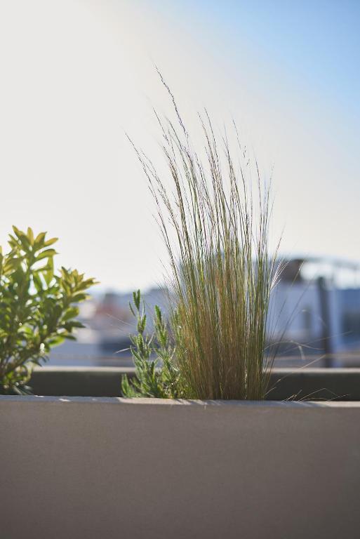 7Rizes Luxury Living - Resim 20