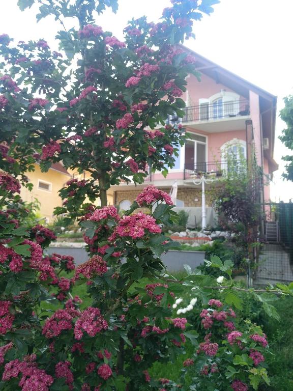 Vonkajšia záhrada v ubytovaní Manor Villa